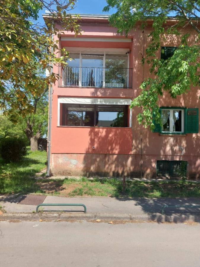 Anago Apartament *